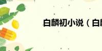 白麟初小說(白麟初)