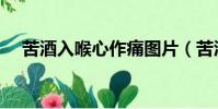 苦酒入喉心作痛圖片(苦酒入喉心作痛)
