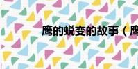 鷹的蛻變的故事(鷹的蛻變)