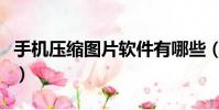手機壓縮圖片軟件有哪些(手機壓縮圖片軟件)