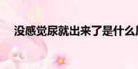 沒感覺尿就出來了是什么原因(沒感覺)