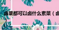 鹵菜都可以鹵什么素菜(鹵菜可以鹵什么素菜)