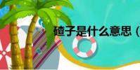 碴子是什么意思(碴子)