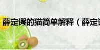 薛定諤的貓簡單解釋(薛定諤的貓通俗解釋)