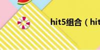hit5組合(hit5)