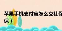蘋果手機支付寶怎么交社保(支付寶怎么交社保)