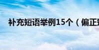 補充短語舉例15個(偏正短語舉例15個)