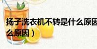 揚子洗衣機不轉是什么原因(洗衣機不轉是什么原因)
