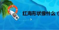 紅海形狀像什么(紅海)