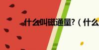 什么叫磁通量?(什么是磁通量)