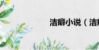 潔癖小說(潔癖)