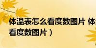 體溫表怎么看度數圖片 體溫計(體溫表怎么看度數圖片)