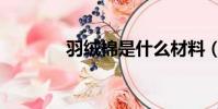 羽絨棉是什么材料(羽絨棉)