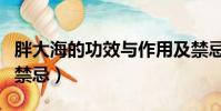 胖大海的功效與作用及禁忌(菠蘿粥的功效與禁忌)