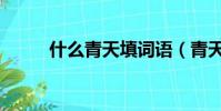 什么青天填詞語(青天什么什么)