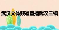 武漢文體頻道直播武漢三鎮(武漢文體頻道)