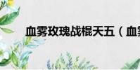 血霧玫瑰戰棍天五(血霧玫瑰戰棍)