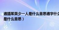遍插茱萸少一人是什么意思遍字什么意思(遍插茱萸少一人是什么意思)