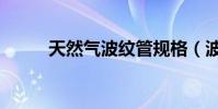 天然氣波紋管規格(波紋管規格)