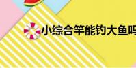 小綜合竿能釣大魚嗎(小綜)