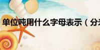 單位噸用什么字母表示(分米單位字母表示)
