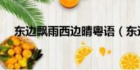 東邊飄雨西邊晴粵語(東邊飄雨西邊晴)