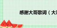 感謝大哥歌詞(大哥歌詞)