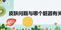 皮膚問題與哪個臟器有關(皮膚問題)