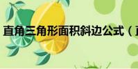 直角三角形面積斜邊公式(直角三角形面積)