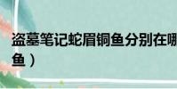 盜墓筆記蛇眉銅魚分別在哪(盜墓筆記蛇眉銅魚)