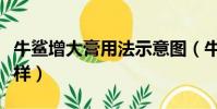 牛鯊增大膏用法示意圖(牛鯊增大膏效果怎么樣)
