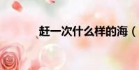 趕一次什么樣的海(ganyici)