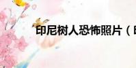 印尼樹人恐怖照片(印尼樹人)