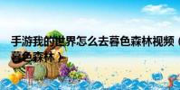 手游我的世界怎么去暮色森林視頻(手機版我的世界怎么去暮色森林)