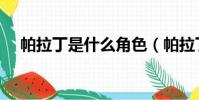 帕拉丁是什么角色(帕拉丁是什么職業)