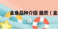 金魚品種介紹 最貴(金魚品種介紹)