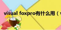 visual foxpro有什么用(visual foxpro)