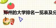 鄭州的大學排名一覽表及分數線(鄭州的大學)