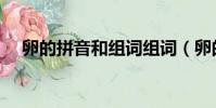 卵的拼音和組詞組詞(卵的拼音和組詞)