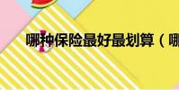 哪種保險最好最劃算(哪種保險最好)