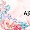 A變速器下載（A變速）