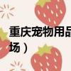 重慶寵物用品批發在哪（重慶寵物用品批發市場）