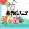 金光燦爛是何物（金光燦爛和金光燦燦）