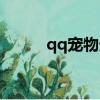 qq寵物天使壞壞（qq寵物天使）