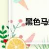 黑色馬蜂有毒嗎（馬蜂有毒嗎）