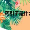 藥引子是什么意思?（藥引子是什么意思）