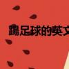 踼足球的英文怎么寫（足球英語怎么寫的）