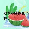 雙木不成林 田下有真心 子女相對坐 草下有古人（雙木不成林）