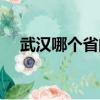 武漢哪個省的人最多（武漢是哪個省的）