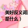 美好反義詞是什么呢 標準答案（美好反義詞是什么）
